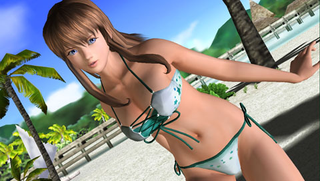 Illustration for article titled Dead Or Alive Paradise Screens